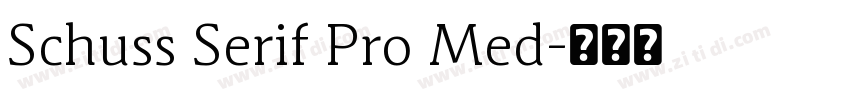 Schuss Serif Pro Med字体转换
